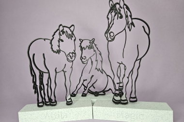 Kooperation mit dem Gnadenhof